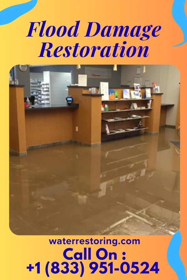 Flood Damage Restoration in Overlea, MD