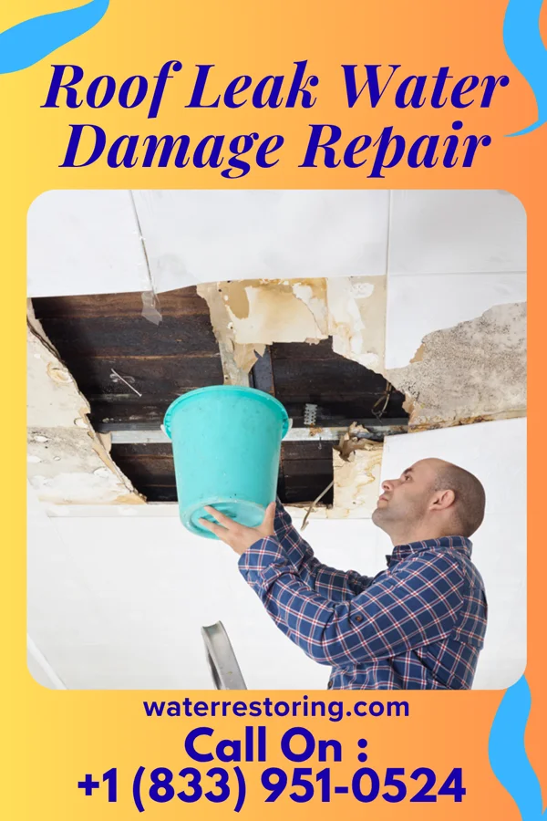Roof Leak Water Damage Repair in Overlea, MD