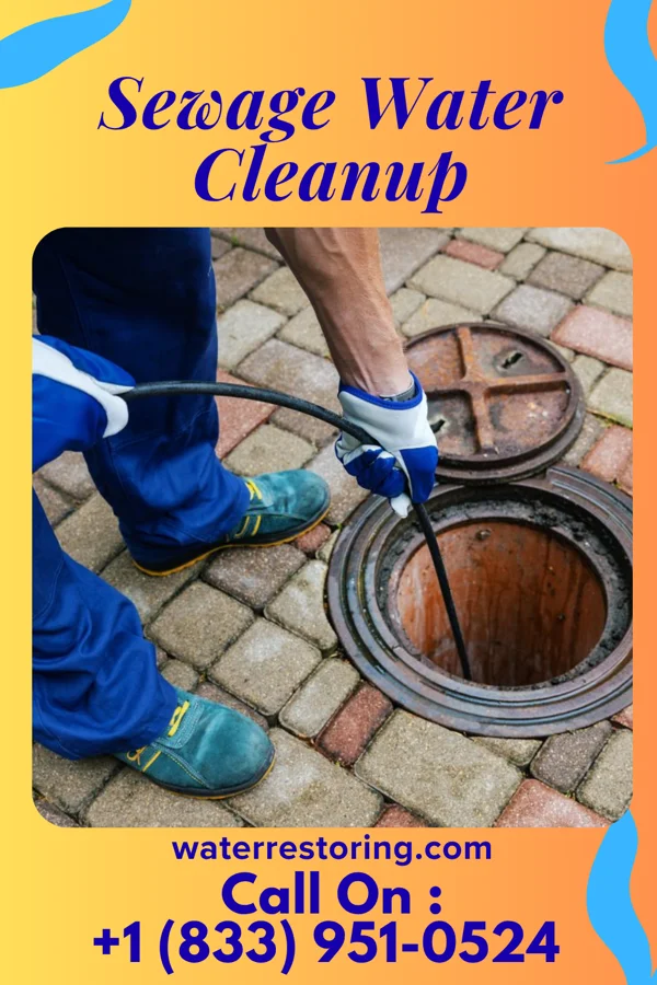 Sewage Water Cleanup in Overlea, MD